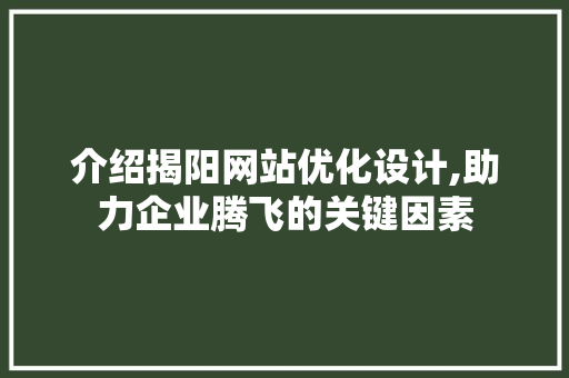 介绍揭阳网站优化设计,助力企业腾飞的关键因素