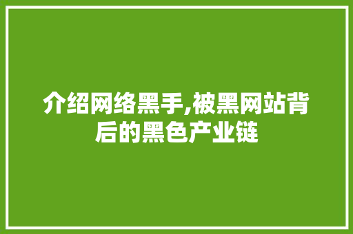 介绍网络黑手,被黑网站背后的黑色产业链 介绍网络黑手,被黑网站背后的黑色产业链 GoogleSEO