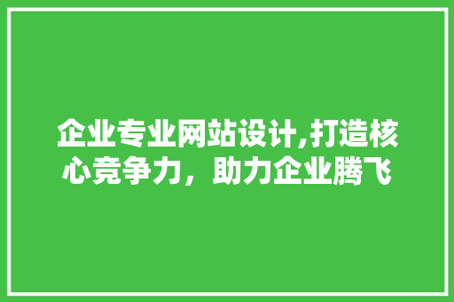 企业专业网站设计,打造核心竞争力，助力企业腾飞 企业专业网站设计,打造核心竞争力，助力企业腾飞 GoogleSEO