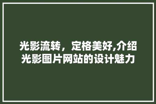 光影流转，定格美好,介绍光影图片网站的设计魅力 光影流转，定格美好,介绍光影图片网站的设计魅力 搜狗SEO