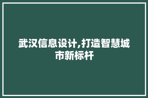 武汉信息设计,打造智慧城市新标杆
