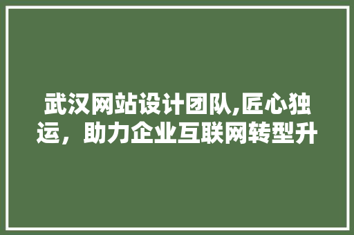 武汉网站设计团队,匠心独运，助力企业互联网转型升级