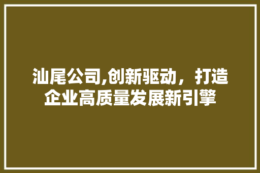 汕尾公司,创新驱动，打造企业高质量发展新引擎