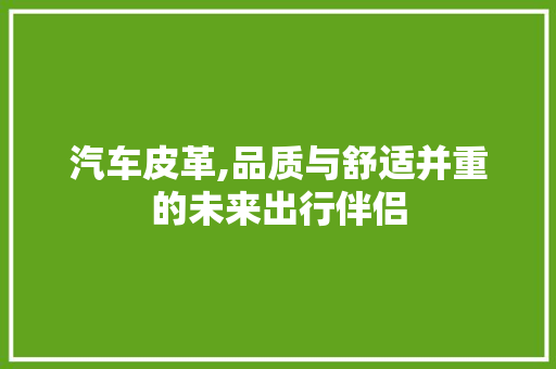 汽车皮革,品质与舒适并重的未来出行伴侣