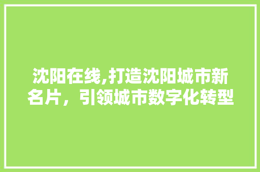 沈阳在线,打造沈阳城市新名片，引领城市数字化转型