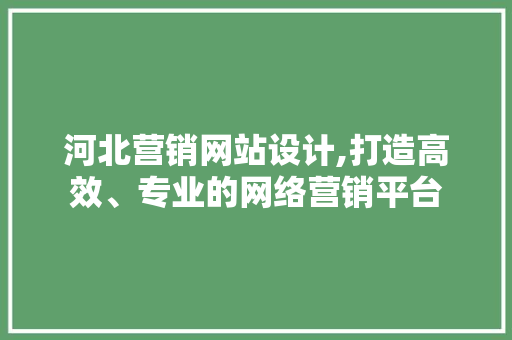 河北营销网站设计,打造高效、专业的网络营销平台