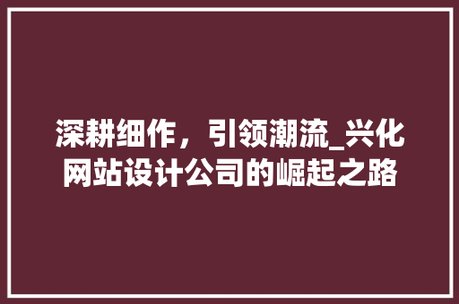 深耕细作，引领潮流_兴化网站设计公司的崛起之路