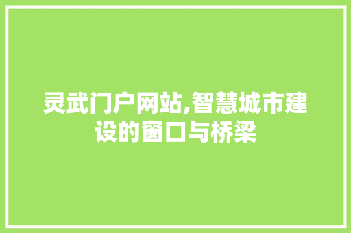 灵武门户网站,智慧城市建设的窗口与桥梁