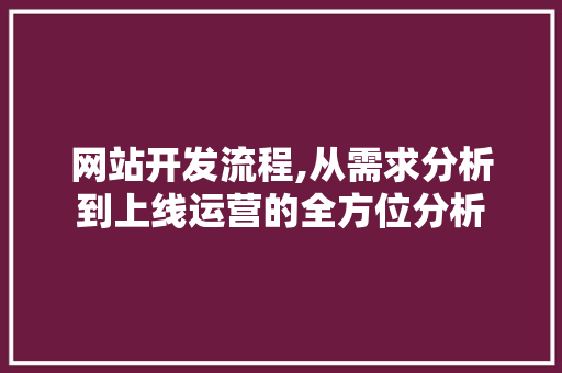 网站开发流程,从需求分析到上线运营的全方位分析 网站开发流程,从需求分析到上线运营的全方位分析 必应SEO