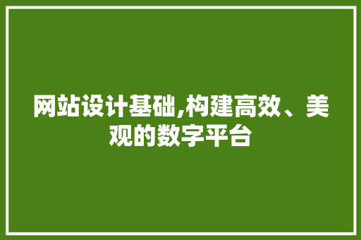 网站设计基础,构建高效、美观的数字平台 网站设计基础,构建高效、美观的数字平台 百度SEO