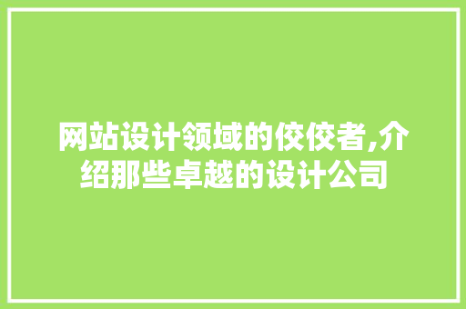 网站设计领域的佼佼者,介绍那些卓越的设计公司 网站设计领域的佼佼者,介绍那些卓越的设计公司 必应SEO