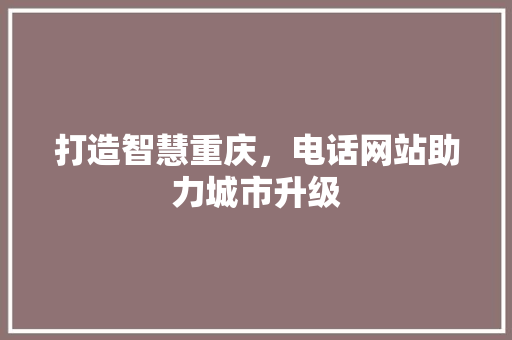 打造智慧重庆，电话网站助力城市升级