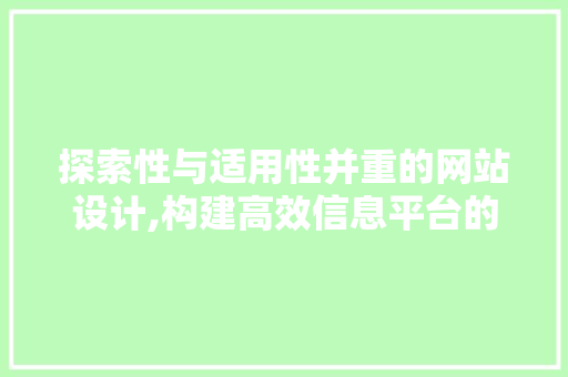 探索性与适用性并重的网站设计,构建高效信息平台的方法