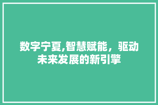 数字宁夏,智慧赋能，驱动未来发展的新引擎 数字宁夏,智慧赋能，驱动未来发展的新引擎 搜狗SEO