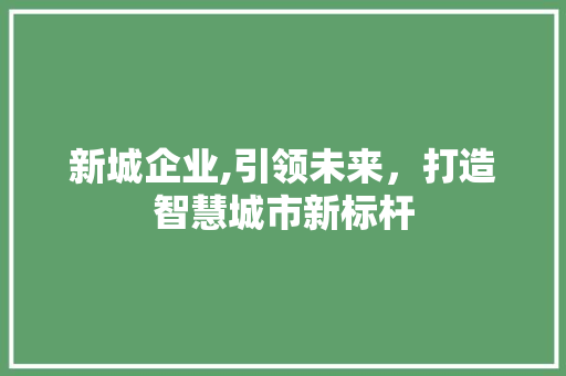 新城企业,引领未来，打造智慧城市新标杆