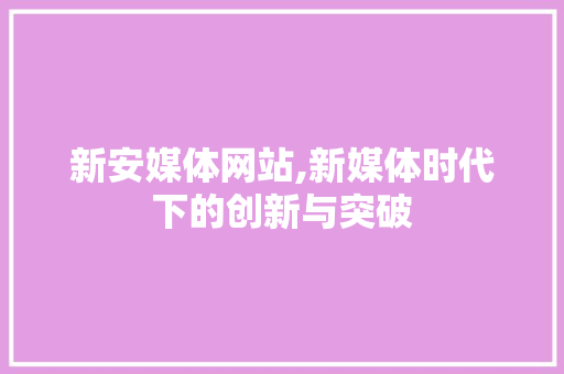 新安媒体网站,新媒体时代下的创新与突破