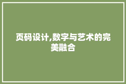 页码设计,数字与艺术的完美融合