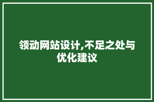 领动网站设计,不足之处与优化建议 领动网站设计,不足之处与优化建议 搜狗SEO