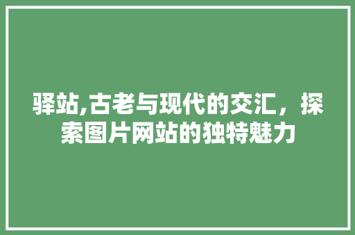 驿站,古老与现代的交汇，探索图片网站的独特魅力 驿站,古老与现代的交汇，探索图片网站的独特魅力 百度SEO