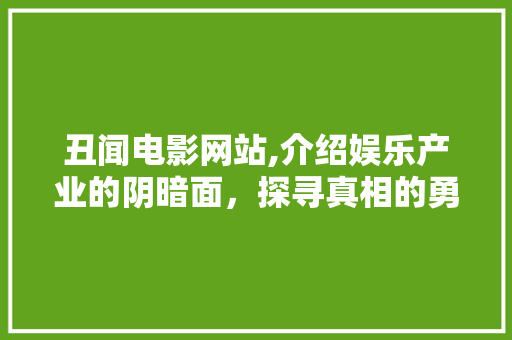 丑闻电影网站,介绍娱乐产业的阴暗面，探寻真相的勇气与代价 丑闻电影网站,介绍娱乐产业的阴暗面，探寻真相的勇气与代价 GoogleSEO