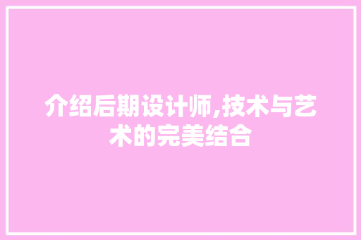 介绍后期设计师,技术与艺术的完美结合