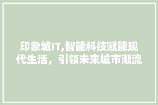 印象城IT,智能科技赋能现代生活，引领未来城市潮流