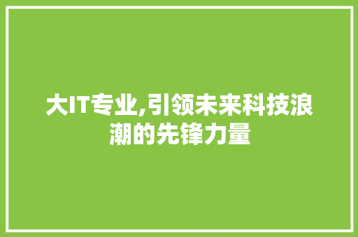 大IT专业,引领未来科技浪潮的先锋力量 神马SEO