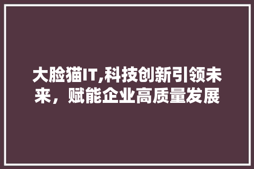 大脸猫IT,科技创新引领未来，赋能企业高质量发展 搜狗SEO