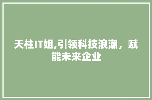 天柱IT姐,引领科技浪潮，赋能未来企业 神马SEO