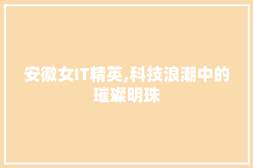 安徽女IT精英,科技浪潮中的璀璨明珠 搜狗SEO