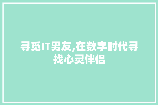 寻觅IT男友,在数字时代寻找心灵伴侣 神马SEO
