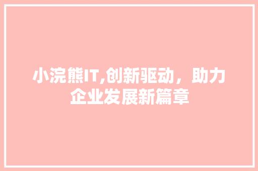 小浣熊IT,创新驱动，助力企业发展新篇章 GoogleSEO