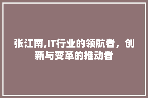 张江南,IT行业的领航者，创新与变革的推动者 百度SEO