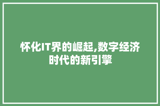 怀化IT界的崛起,数字经济时代的新引擎 百度SEO