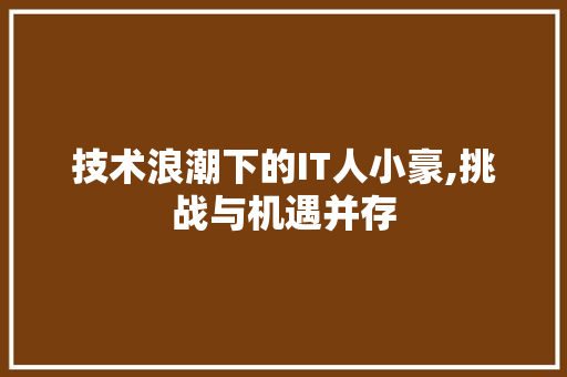 技术浪潮下的IT人小豪,挑战与机遇并存 必应SEO