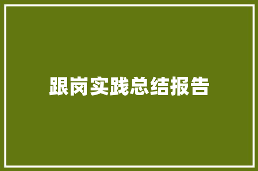 探索IT攀爬园,数字化转型背后的创新力量 必应SEO