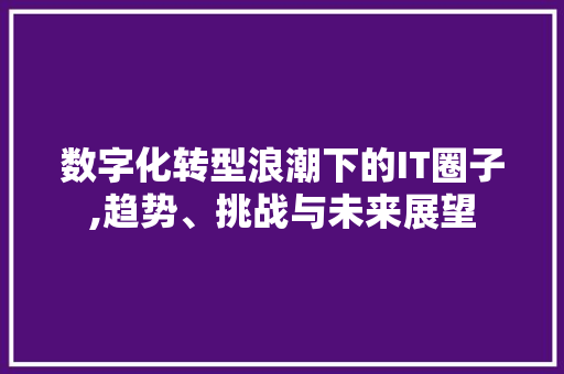 数字化转型浪潮下的IT圈子,趋势、挑战与未来展望 GoogleSEO