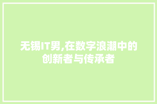 无锡IT男,在数字浪潮中的创新者与传承者