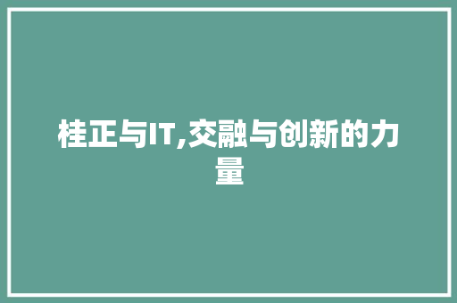 桂正与IT,交融与创新的力量