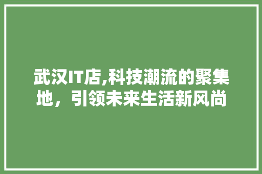 武汉IT店,科技潮流的聚集地，引领未来生活新风尚 必应SEO