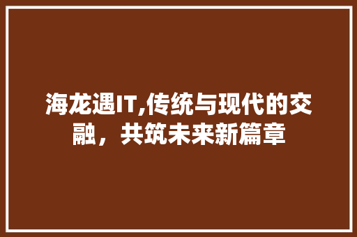海龙遇IT,传统与现代的交融，共筑未来新篇章 GoogleSEO