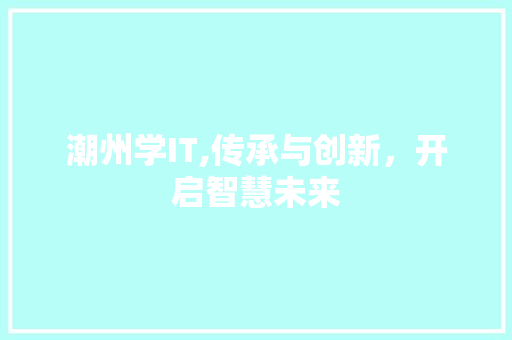 潮州学IT,传承与创新，开启智慧未来 GoogleSEO