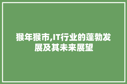 猴年猴市,IT行业的蓬勃发展及其未来展望 搜狗SEO