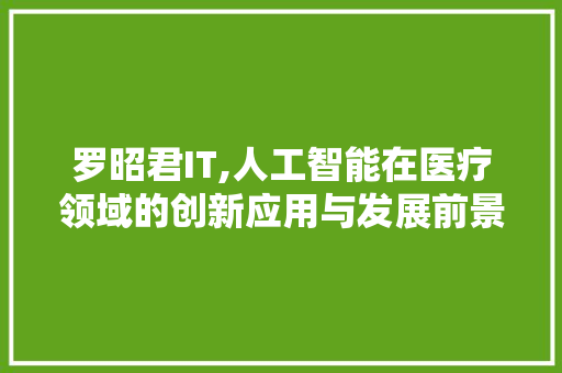 罗昭君IT,人工智能在医疗领域的创新应用与发展前景