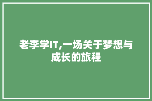 老李学IT,一场关于梦想与成长的旅程 神马SEO