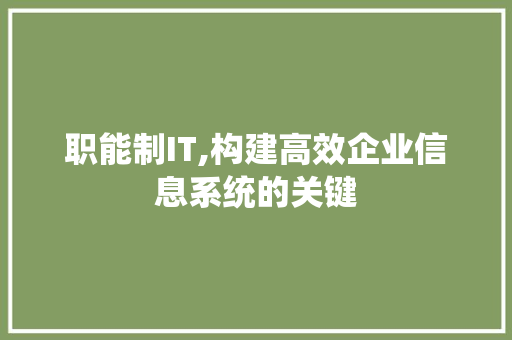 职能制IT,构建高效企业信息系统的关键