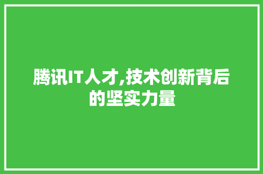 腾讯IT人才,技术创新背后的坚实力量
