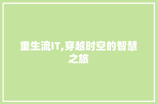 重生流IT,穿越时空的智慧之旅