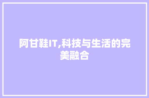 阿甘鞋IT,科技与生活的完美融合