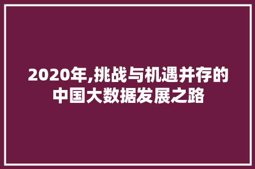 2020年,挑战与机遇并存的中国大数据发展之路 神马SEO
